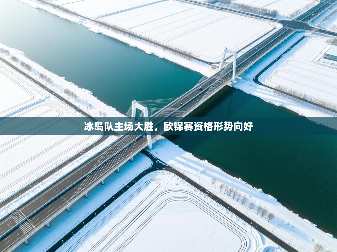 冰岛队主场大胜，欧锦赛资格形势向好  第1张